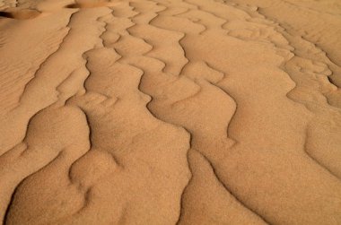 Dunes çölde, Dubai, Birleşik Arap Emirlikleri