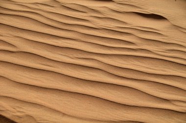 Dunes çölde, Dubai, Birleşik Arap Emirlikleri