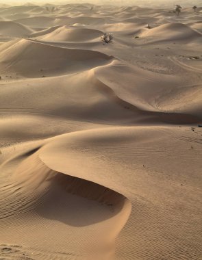 Dunes çölde, Dubai, Birleşik Arap Emirlikleri