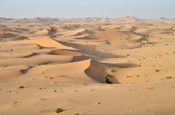 Duny Poušti Dubaj Spojené Arabské Emiráty — Stock fotografie