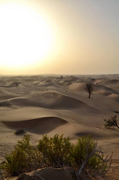 Wydmy Pustyni Dubai Zjednoczone Emiraty Arabskie — Zdjęcie stockowe