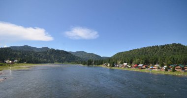 Göl Teletskoye görünümü. Rusya, Altay Cumhuriyeti