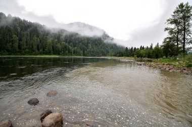 Biya nehir manzarası. Rusya, Altay Cumhuriyeti