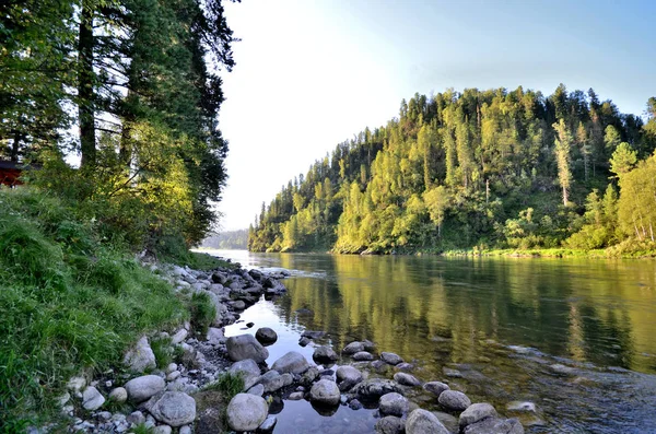 Θέα Του Ποταμού Μπιγιά Ρωσία Δημοκρατία Των Αλτάι — Φωτογραφία Αρχείου