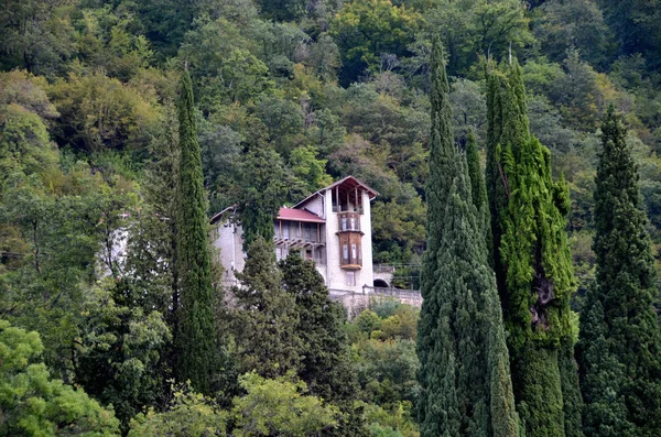 Vista Della Casa Montagna Gagra Abkhazia — Foto Stock