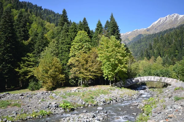 Vista Del Río Montaña Atsetuka Abjasia — Foto de Stock