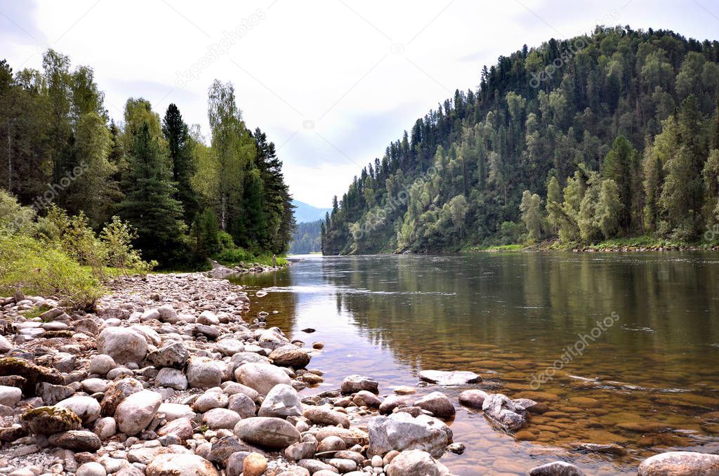 View of the Biya river. Russia, Altai Republic
