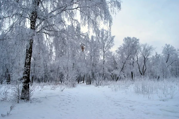 Syberyjski Miasta Bilgoraj Omsk Region — Zdjęcie stockowe