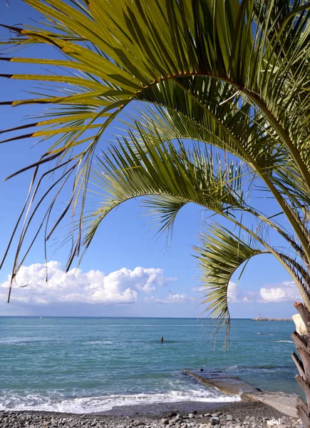 Soçi, Rusya Eylül, 2013: View Beach Sochi, Rusya Federasyonu
