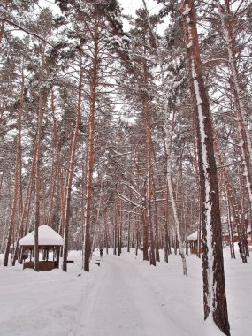 Kış Sibirya Şehir Parkı, Omsk bölge 