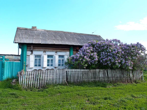 Vue Village Origine Sibérie Région Omsk Russie — Photo