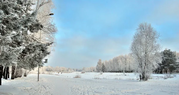 Winter Siberian City Park Omsk Region — Stock Photo, Image