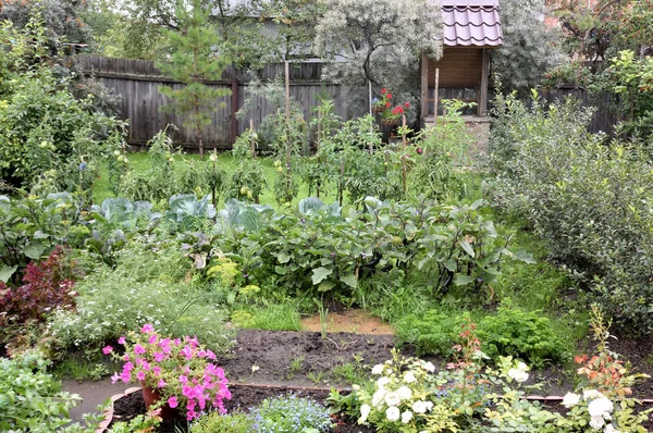 Zona Jardín Con Las Camas Región Omsk Rusia — Foto de Stock