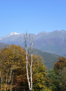 Görünüm sırtın Psekhako, Sochi, Rusya Federasyonu
