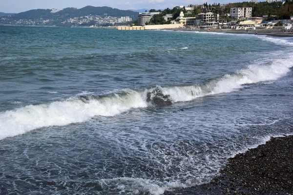 Soçi, Rusya 29 Eylül 2015: View Beach Sochi, Rusya Federasyonu