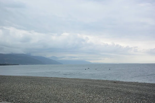 Blick Auf Den Strand Sotschi Russland — Stockfoto