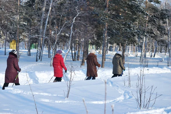 Omsk Rússia Janeiro 2016 Caminhada Nórdica Parque Inverno Sibéria — Fotografia de Stock