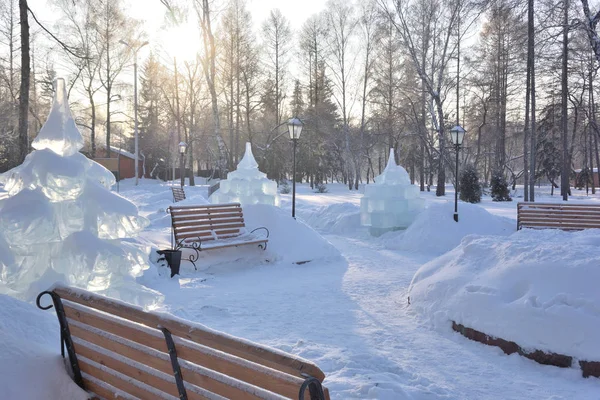 Omsk Russia December 2016 Winter Siberian City Park Omsk Region — Stock Photo, Image