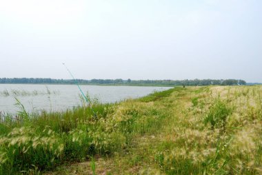 Devlete ait Cherlaksky Lake District, Omsk region, Rusya Federasyonu                        