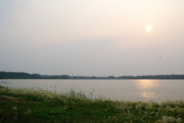 Devlete ait Cherlaksky Lake District, Omsk region, Rusya Federasyonu                        