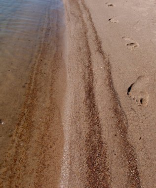 Göl Chany, Novosibirsk region, Sibirya, Rusya Federasyonu                              