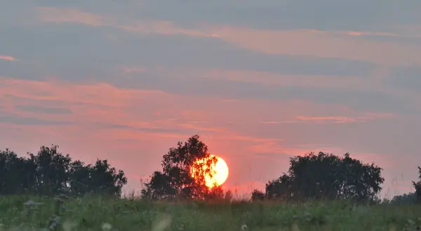 Soluppgång Över Ett Fält Omsk Region Ryssland — Stockfoto