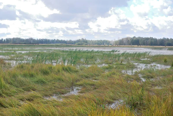 Morgon Vid Sjön Stora Hörnet Omsk Region Sibirien Ryssland — Stockfoto