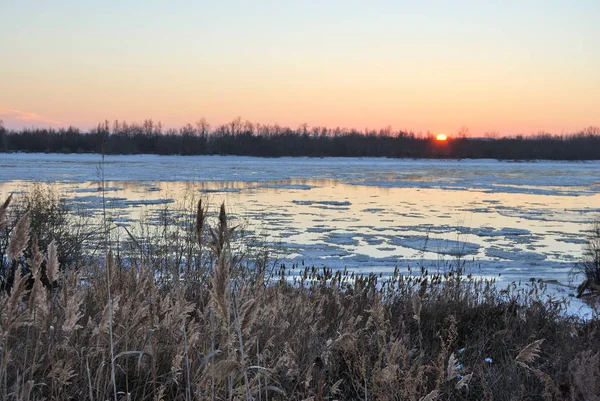 Rtiş Nehri Omsk Bölge Üzerinde Başlangıç Donma — Stok fotoğraf