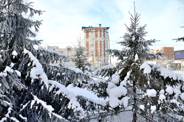 Зимний Сибирский Городской Парк Омская Область — стоковое фото