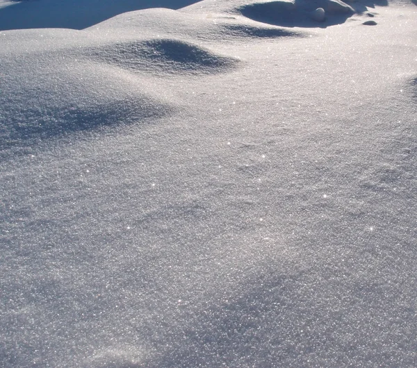 Winter Siberische Stadspark Sneeuwlaag Omsk Regio Rusland — Stockfoto