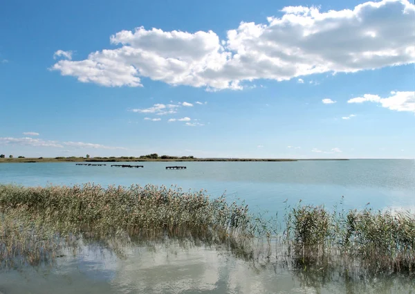 Lake Chany Região Novosibirsk Sibéria Rússia — Fotografia de Stock