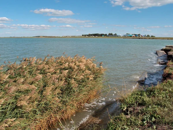 Göl Chany, Novosibirsk region, Sibirya, Rusya Federasyonu                              