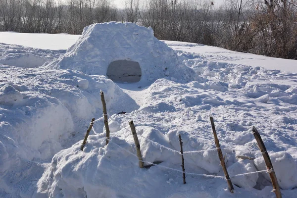 Śniegu Dom Został Zbudowany Nad Brzegiem Dzieci Nad Rzeką Irtysz — Zdjęcie stockowe