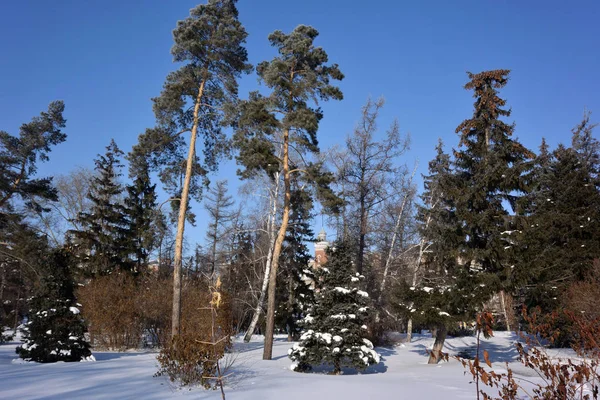 Omsk Rusland Januari 2017 Vierkante Benoemde Pavlik Morozov Omsk Regio — Stockfoto