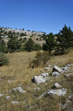 Pines üzerinde Yaylası, Ai-Petri Yalta çevresinde