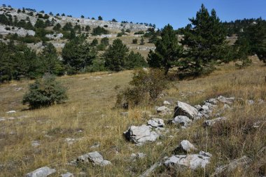 Pines üzerinde Yaylası, Ai-Petri Yalta çevresinde