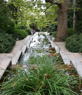 Güzel yerleri Nikitsky Botanik Bahçesi