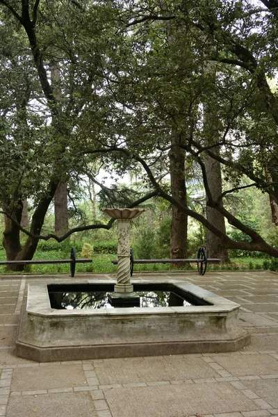 Hermosos lugares del Jardín Botánico Nikitsky —  Fotos de Stock