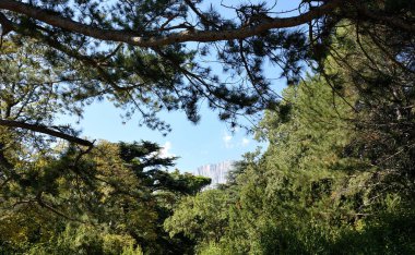 Park Vorontsov Sarayı çevresinde'güzel yerleri