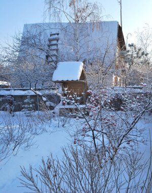 Sibirya Köyü, Omsk region, Rusya Federasyonu