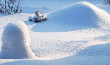 Kış Sibirya Şehir Parkı snowdrifts