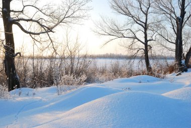 Akşamları Irtysh Nehri, Omsk Bölgesi, Sibirya, Rusya       