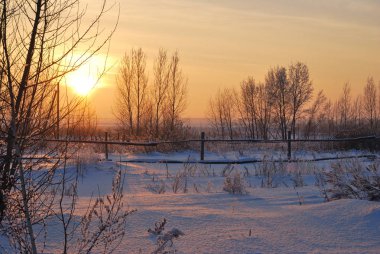 Sibirya Köyü, Omsk region, Rusya Federasyonu