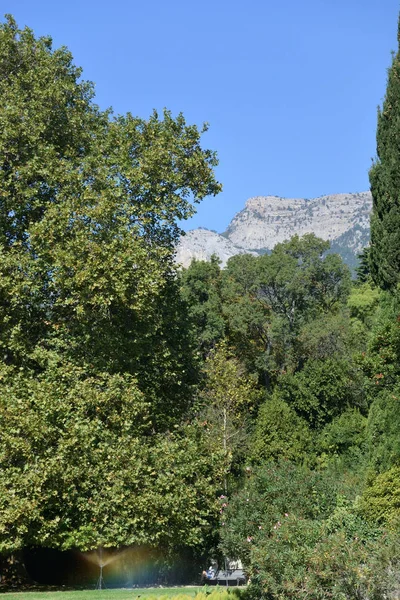 Hermosos lugares en el parque Vorontsov Palacio en las inmediaciones de —  Fotos de Stock