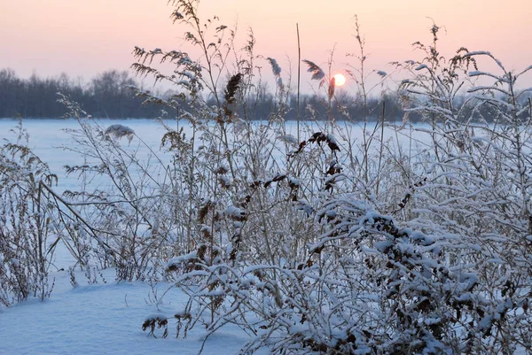 Soirée sur le fleuve Irtych, région d'Omsk, Sibérie, Russie — Photo