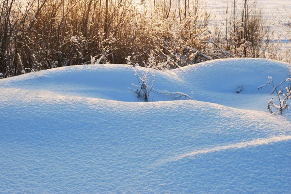 Πάρκο πόλης Σιβηρίας χειμώνα το πολύ χιόνι — Φωτογραφία Αρχείου