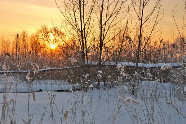 Villaggio siberiano, regione di Omsk, Russia — Foto Stock