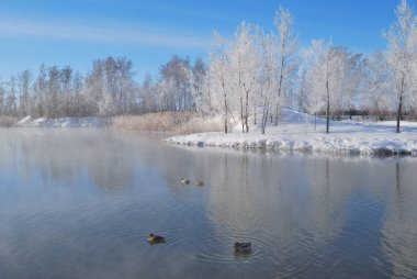 Omsk bölge, Sibirya, Rusya Federasyonu