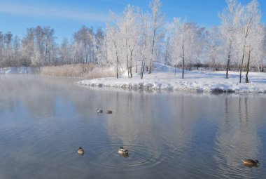 Omsk bölge, Sibirya, Rusya Federasyonu