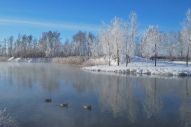 Omsk bölge, Sibirya, Rusya Federasyonu